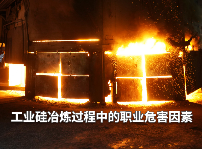资讯封面227