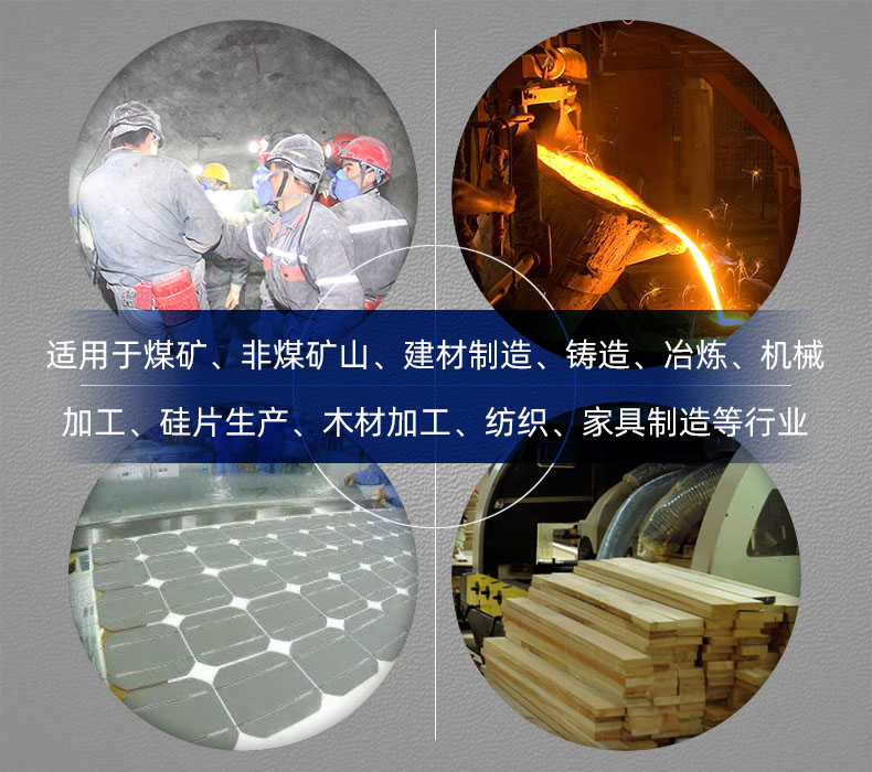 FCN1201-30 KN100防尘口罩