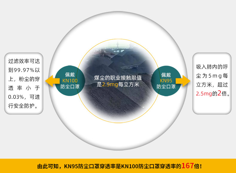 FCN1201-22 KN100防尘口罩
