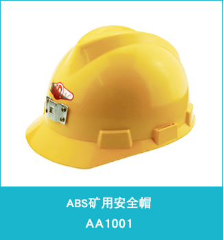 AA1001 